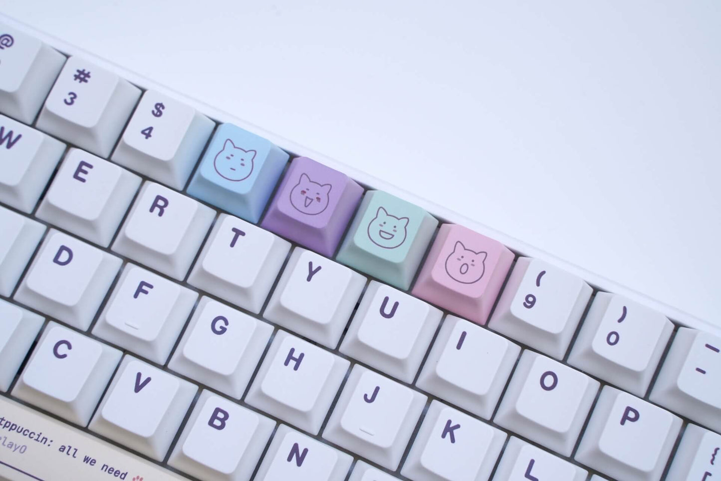 Catppuccin Keycap Set - Light theme - PBT Dye-Sub